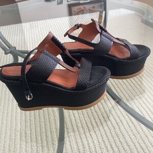 Philosophy wedges